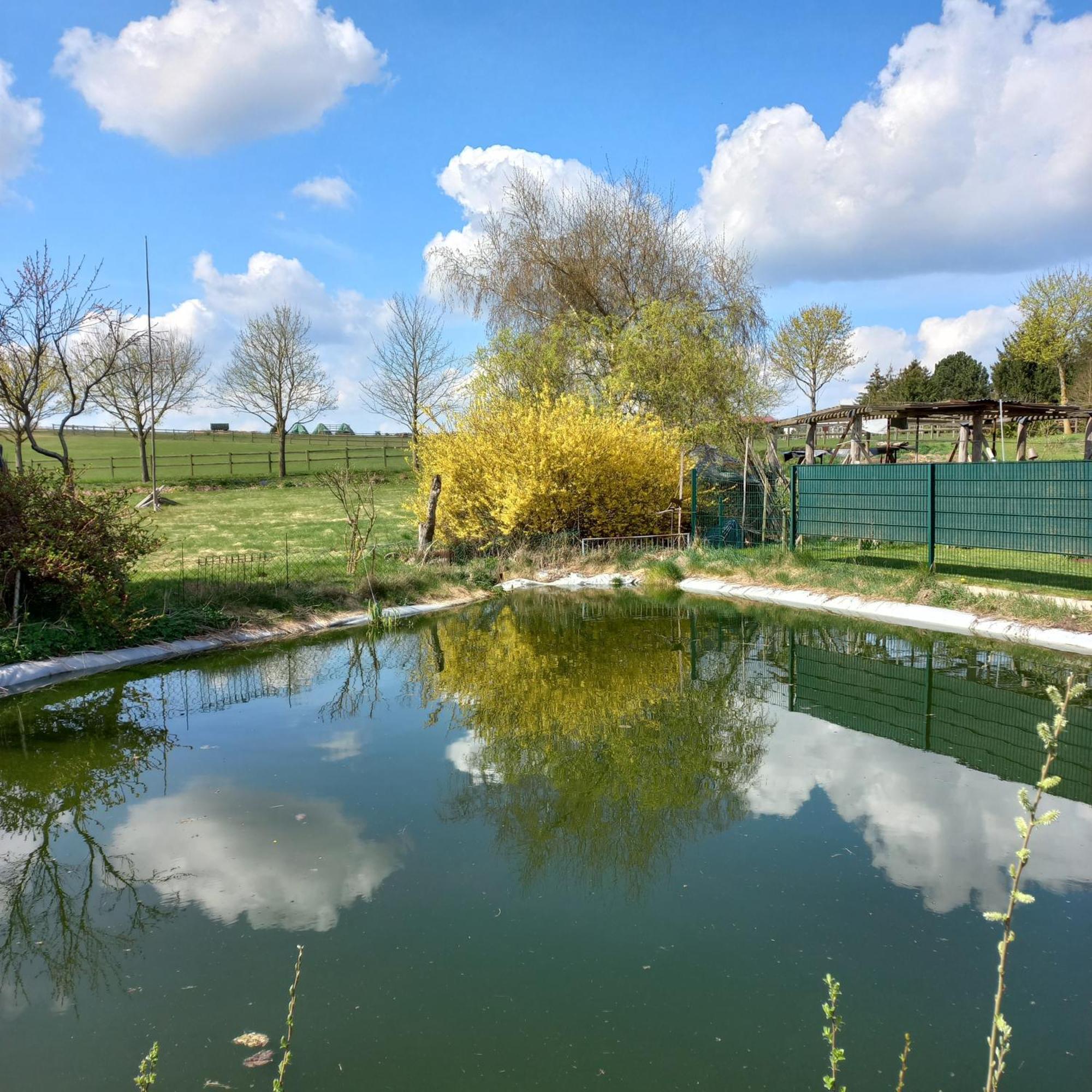 Zimmer Und Apartment Rosi Krakow am See Exterior photo